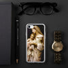 Our lady the blessed virgin Mary with Jesus and Lamb iPhone Case