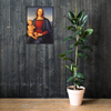 Perugino's  Madonna and Child Framed Poster